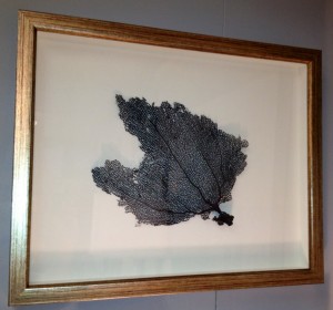 Framed naturals