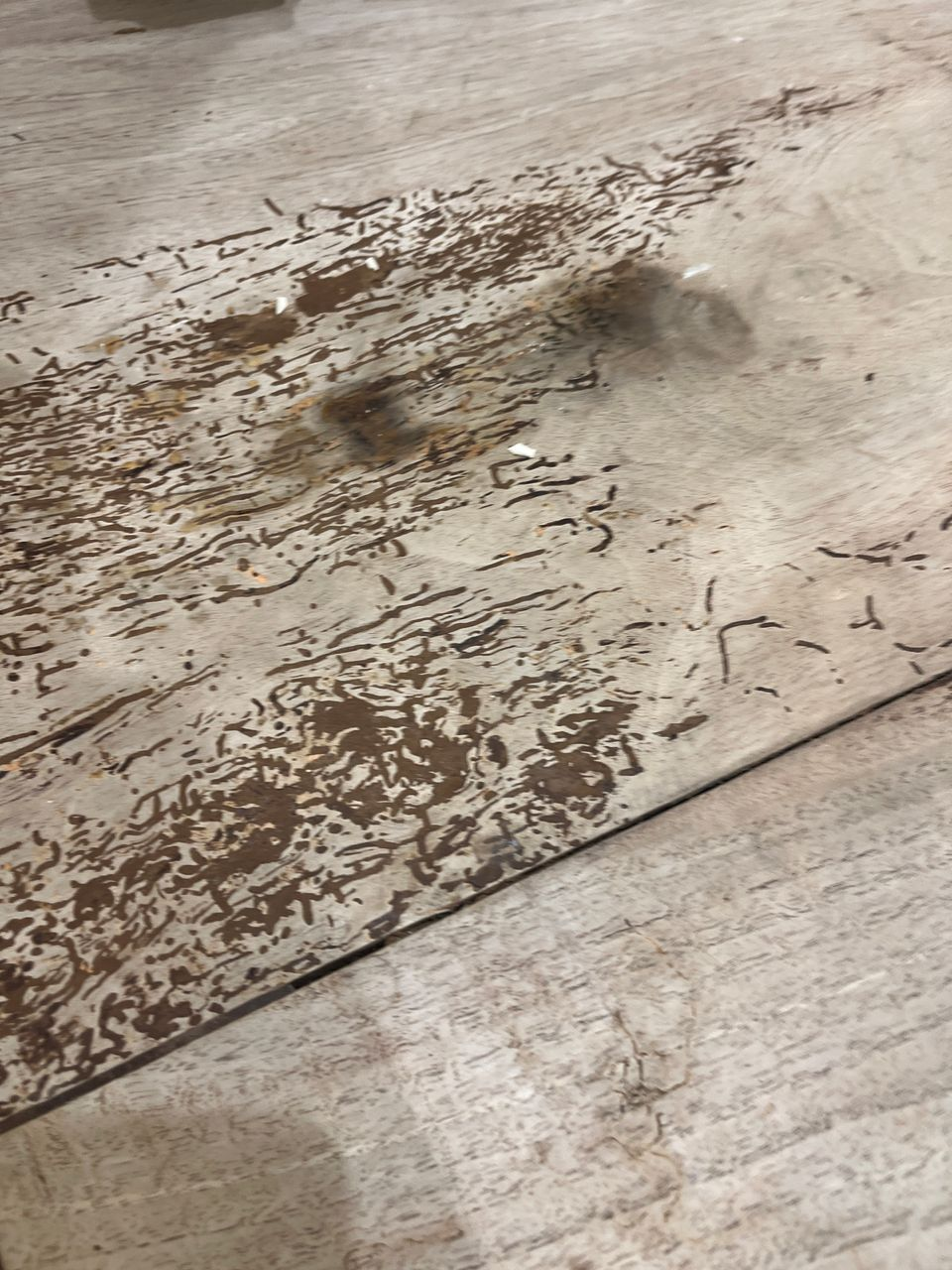 Antique Bleached Pine 4 Drawer Chest