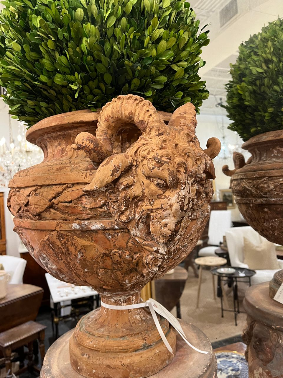 Antique Terracotta Ram's Head Urn on Terracotta Base