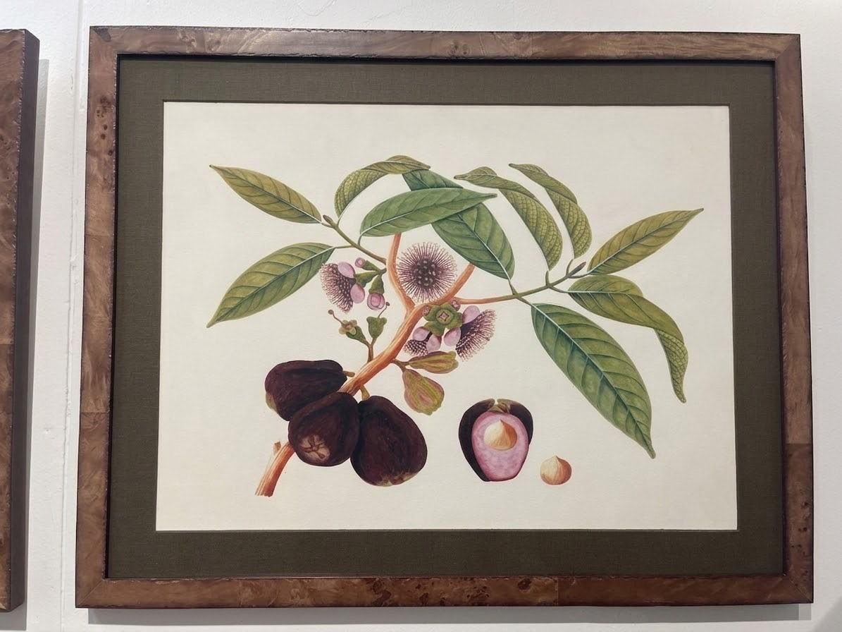 Fruit Botanicals in Burlwood Frames (4 available)