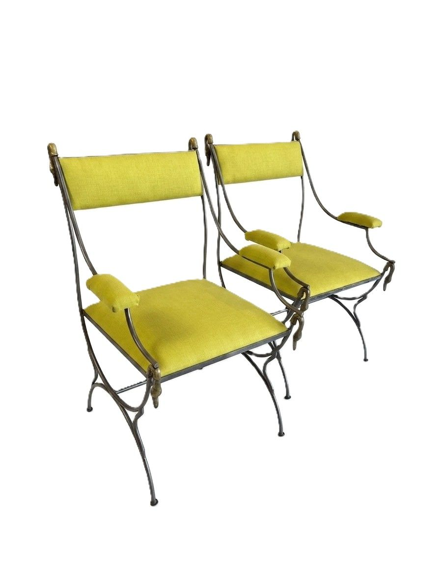 Pair Regency style Neoclassical Iron Chairs with Brass Swans