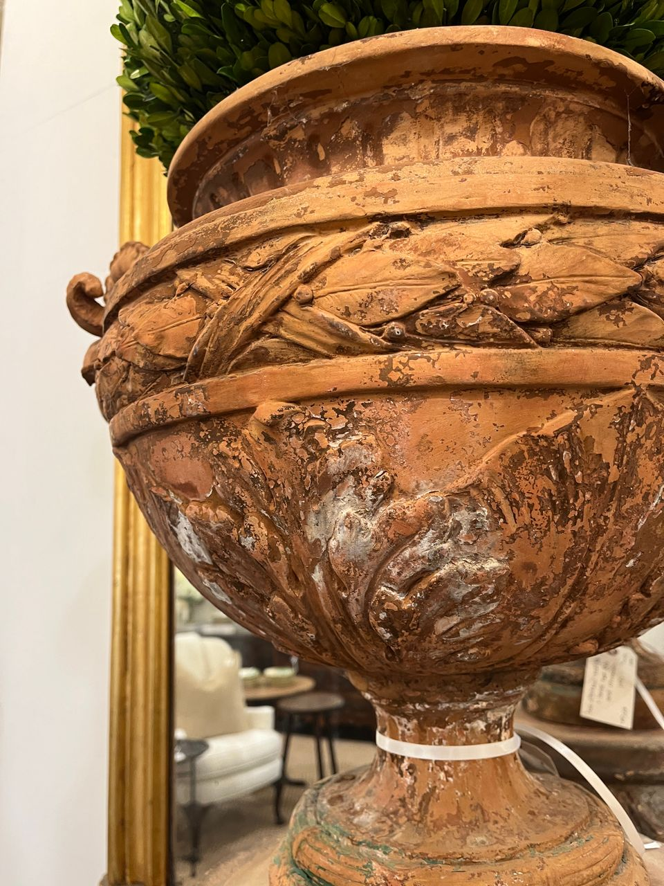 Antique Terracotta Ram's Head Urn on Terracotta Base