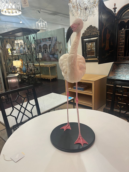 French Antique Flamingo Taxidermy