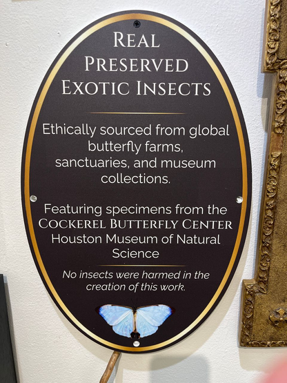 Custom Made Butterfly Lamps