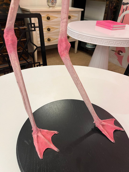 French Antique Flamingo Taxidermy