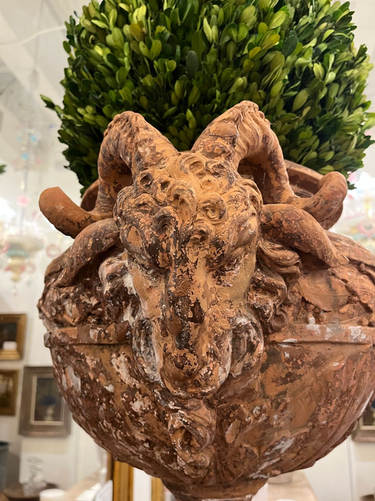 Antique Terracotta Ram's Head Urn on Terracotta Base