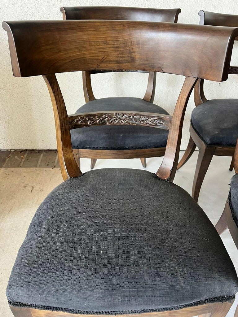 18th Century Italian Klismos Chairs, Set of 10