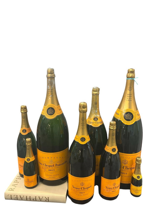 Collection of 8 Vintage French Champagne Bottle Props