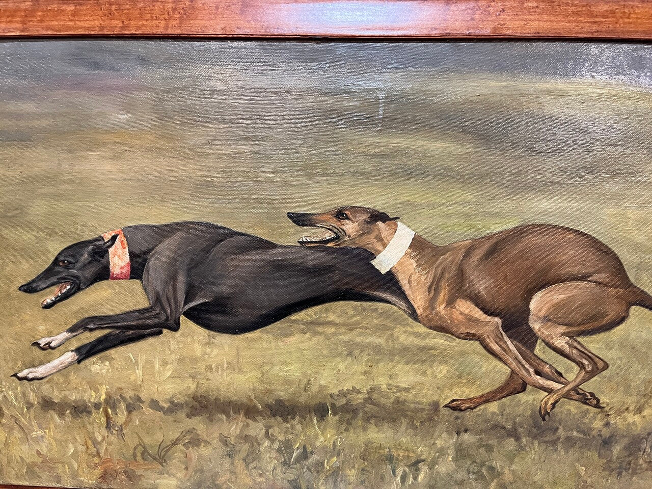 Leesa Sandys-Lumsdaine Oil on Canvas "Greyhounds Running"