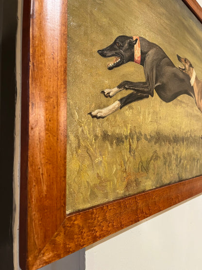 Leesa Sandys-Lumsdaine Oil on Canvas "Greyhounds Running"